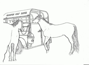 Disegno di cavallo da stampare e colorare 195