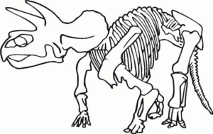 Disegno di Triceratopo da stampare e colorare 64