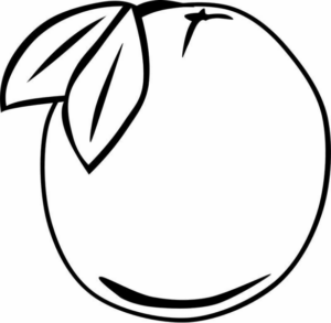 Disegno di arancia da stampare e colorare 14