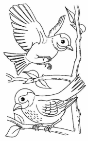 Disegno di uccello da stampare e colorare 76