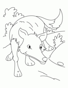 Disegno di volpe da stampare e colorare 19