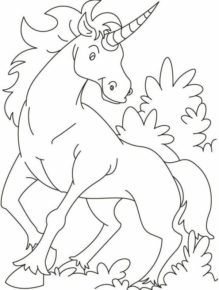Disegno di unicorno da stampare e colorare 24