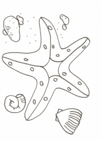 Disegno di stella marina da stampare e colorare 10