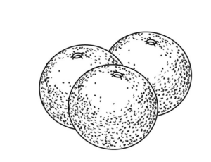 Disegno di arancia da stampare e colorare 5