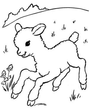 Disegno di pecora da stampare e colorare 6
