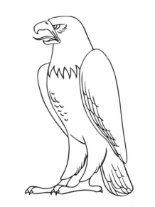 Disegno di aquila da stampare e colorare 18