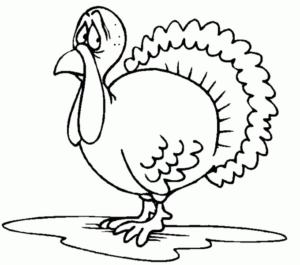 Disegno di tacchino da stampare e colorare 43