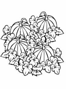 Disegno di zucca da stampare e colorare 41