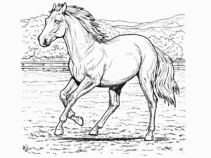 Disegno di cavallo da stampare e colorare 45