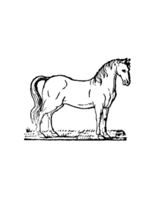Disegno di cavallo da stampare e colorare 112