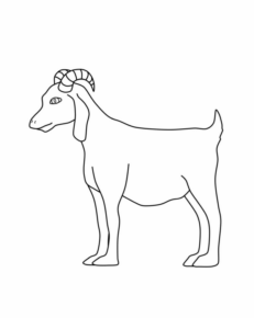 Disegno di capra da stampare e colorare 30
