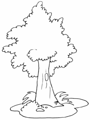 Disegno di albero da stampare e colorare 9