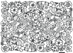 Disegno di mandala da stampare e colorare 658