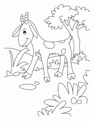 Disegno di capra da stampare e colorare 6