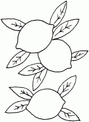 Disegno di limone da stampare e colorare 11