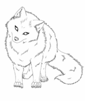 Disegni di Volpi da colorare