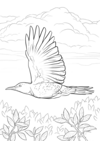 Disegno di uccello da stampare e colorare 126