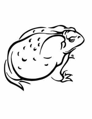 Disegno di rana da stampare e colorare 124