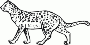 Disegno di leopardo da stampare e colorare 6
