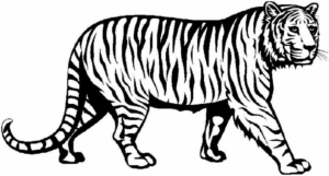 Disegno di tigre da stampare e colorare 48