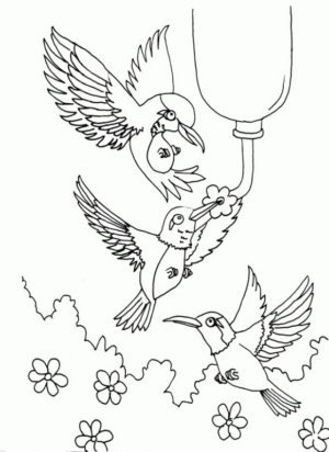 Disegno di passero da stampare e colorare 106