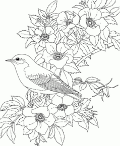 Disegno di passero da stampare e colorare 87