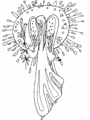 Disegno di angelo da stampare e colorare 54