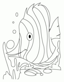 Disegno di pesce da stampare e colorare 295