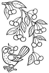 Disegno di ciliegia da stampare e colorare