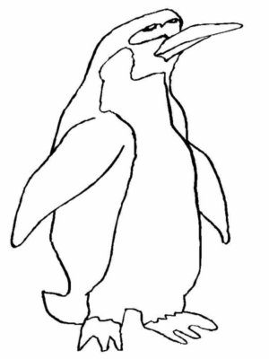 Disegno di pinguino da stampare e colorare 68