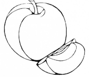 Disegno di mela da stampare e colorare 29