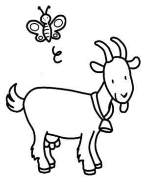 Disegno di capra da stampare e colorare 11