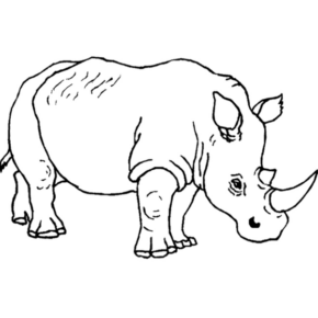 Disegno di rinoceronte da stampare e colorare 17
