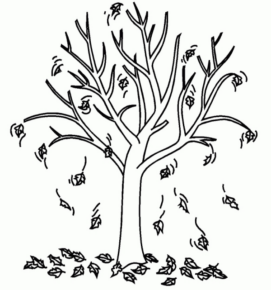 Disegno di albero da stampare e colorare 65