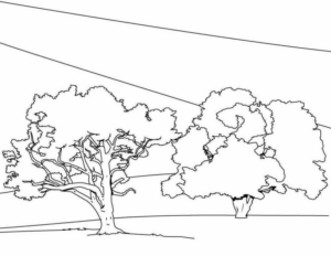 Disegno di albero da stampare e colorare 123