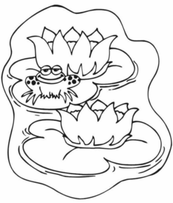 Disegno di rana da stampare e colorare 120