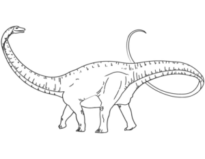 Disegno di Brontosauro da stampare e colorare 8
