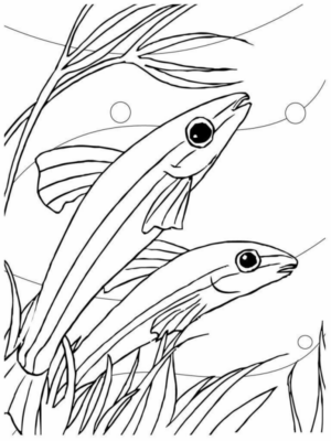 Disegno di pesce da stampare e colorare 266