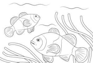 Disegno di pesce da stampare e colorare 163