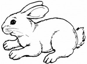 Disegno di coniglio da stampare e colorare 35