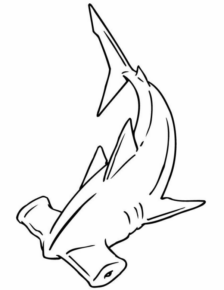 Disegno di squalo da stampare e colorare 64