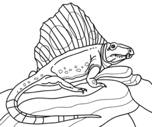 Disegno di Spinosauro da stampare e colorare 5