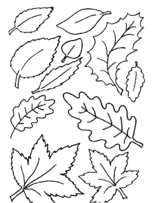 Disegno di foglia da stampare e colorare 149