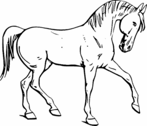Disegno di cavallo da stampare e colorare 217