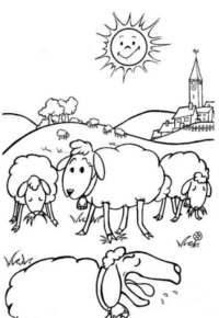 Disegno di pecora da stampare e colorare 47