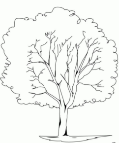 Disegno di albero da stampare e colorare 140