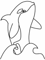 Disegni di Orche da colorare