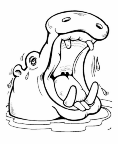 Disegno di ippopotamo da stampare e colorare 56