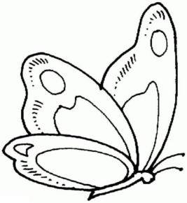 Disegno di farfalla da stampare e colorare 270