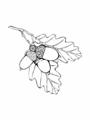 Disegno di foglia da stampare e colorare 18